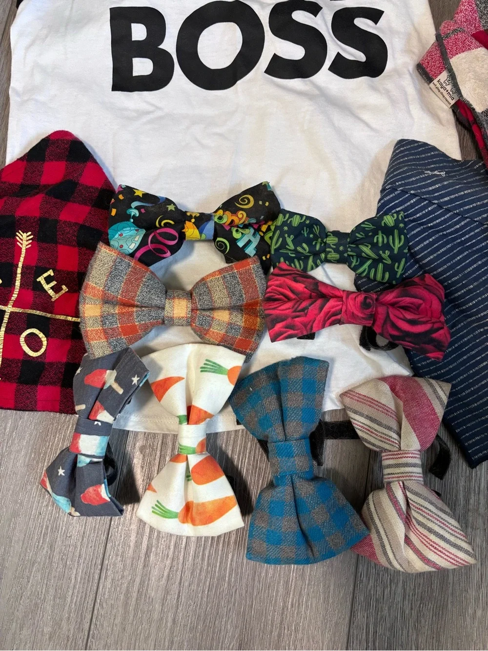 Dog Accessories
